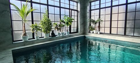 Luxury villa with hot indoor swimming pool Villa in Baku, Azerbaijan