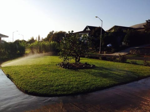 Garden Oasis at Banana Hale Studio Appartement in Waimea