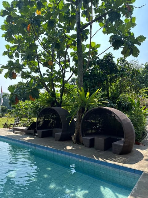 Garden view, Pool view, Swimming pool