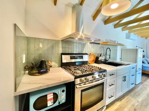 Kitchen or kitchenette, oven, stove