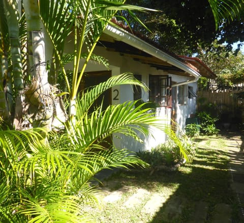 Property building, Day, Garden