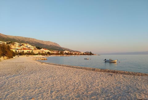 Natural landscape, Activities, Beach