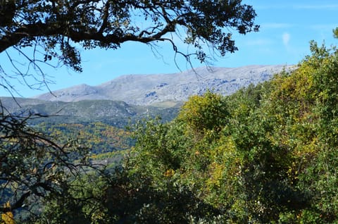 Autumn, Mountain view