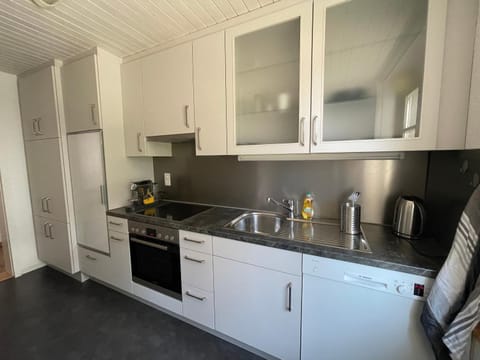 Kitchen or kitchenette, dishwasher, oven, stove