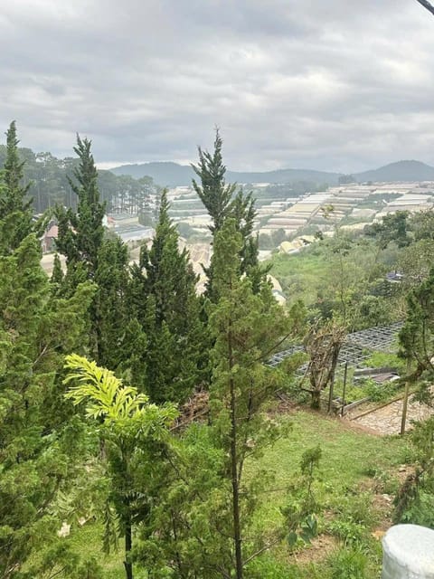 Nearby landmark, Natural landscape, Bird's eye view