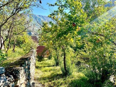 Kamena Idila Villa in Dubrovnik-Neretva County