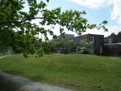 Property building, Spring, Garden