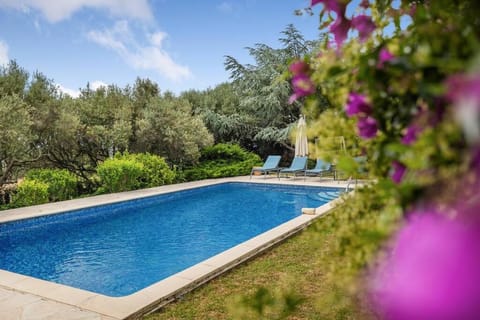 Garden view, Pool view, Swimming pool, sunbed