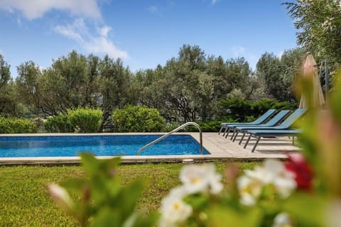 Spring, Day, Garden, Garden view, Pool view, Swimming pool, sunbed