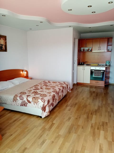 Apartments Center Apartment in Blagoevgrad Province