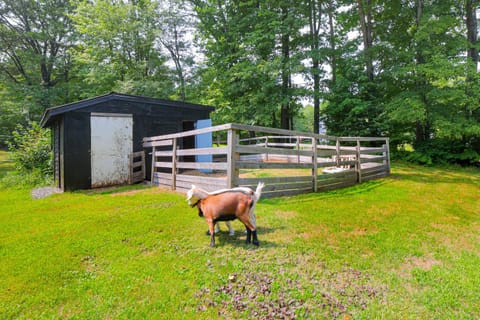 Peaceful Brookside Getaway about 10 Mi to Okemo Slopes! House in Chester