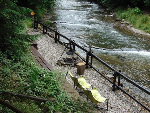 Natural landscape, River view