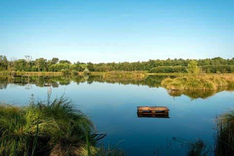 Natural landscape, Fishing, Lake view, River view