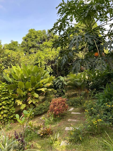 Villa Selma Martinique House in La Trinité