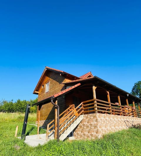 Cabana RodNic House in Timiș County