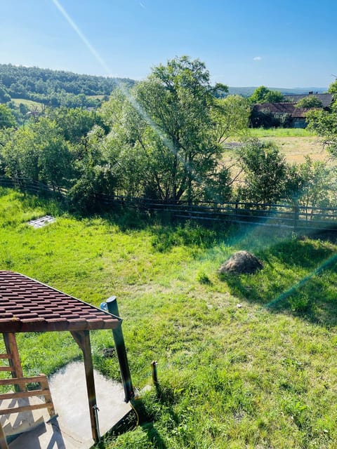 Cabana RodNic House in Timiș County