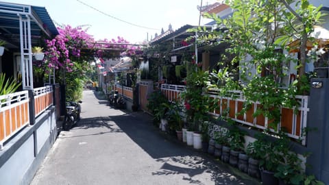 Property building, Day, Neighbourhood, Garden, Garden view, Street view