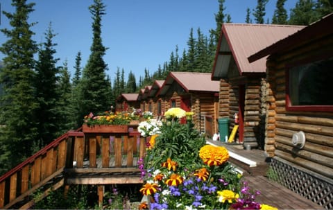 Denali Crow's Nest Cabins Campingplatz /
Wohnmobil-Resort in McKinley Park