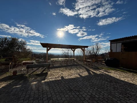 Natural landscape, Garden view