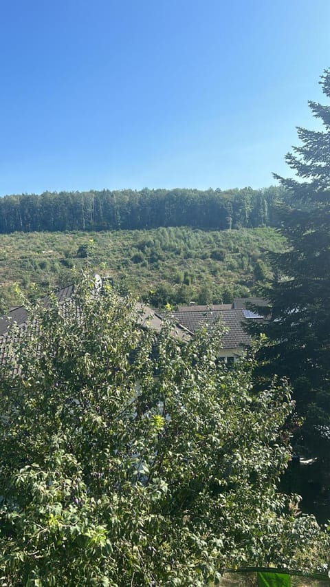 View (from property/room), Mountain view