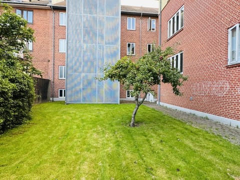 Patio, Garden, Garden view