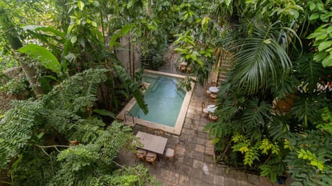 Garden view, Pool view, Swimming pool