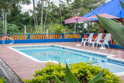 Balcony/Terrace, Pool view, Swimming pool, sunbed