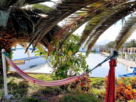 Day, Garden, Lake view