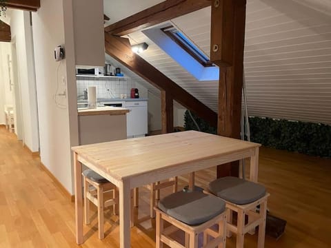 Cosy roof flat close lausanne center Apartment in Lausanne