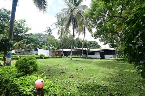 Spring, Day, Garden, Garden view