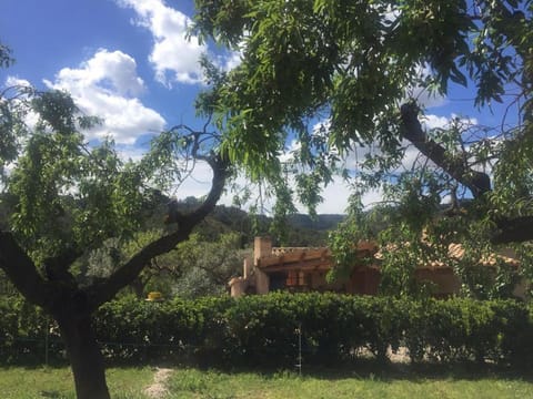 Mas de Les Olles Apartment in Baix Ebre