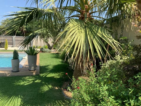 Natural landscape, Garden view, Swimming pool