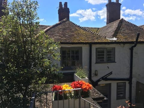 Property building, Garden, Garden view