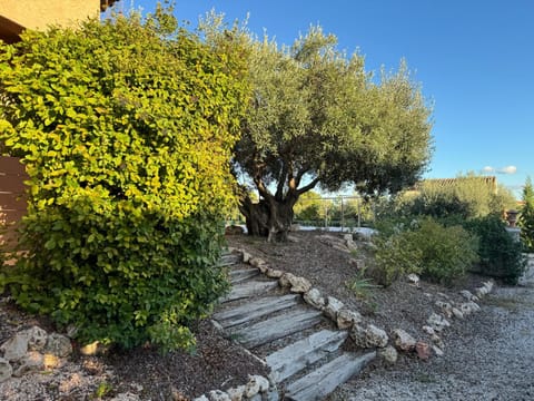 Villa Font du Roux - piscine chauffée - pétanque - adapté mobilité réduite House in Flayosc