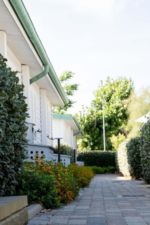 Property building, Garden, Garden view