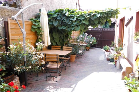 Patio, Garden