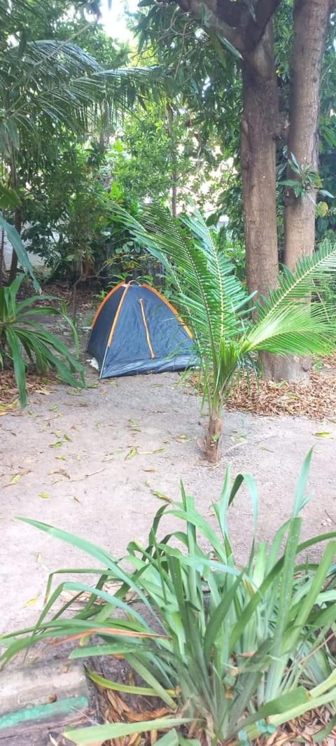 Recanto do Cajueiro Garça Hostel in Maceió