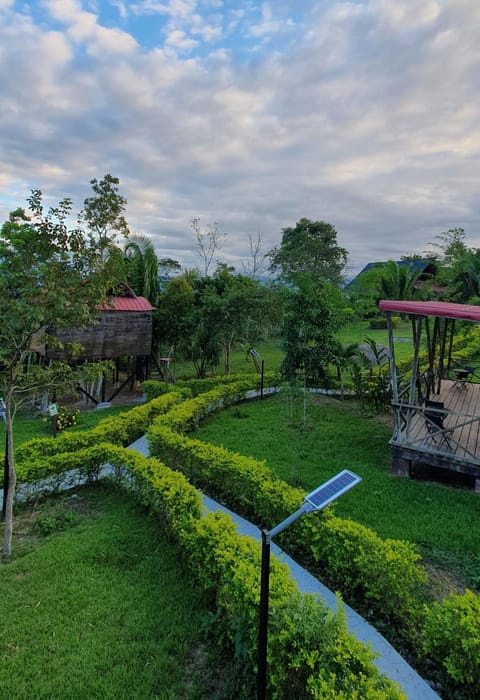 Day, Natural landscape, Garden, Garden view, Time of day