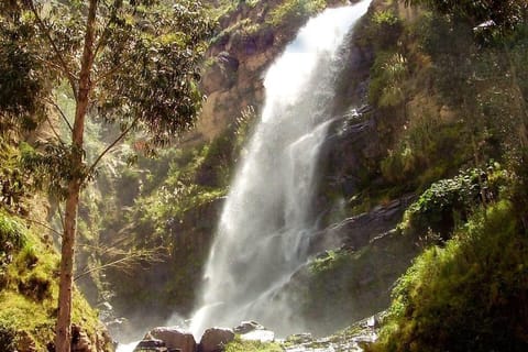 Puerto Natura Country House in Cochabamba Department, Bolivia