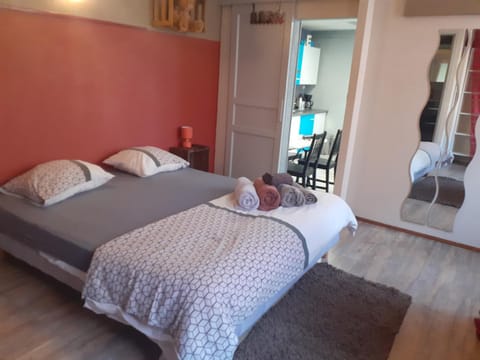 Au Coup de Cœur Wohnung in Colmar