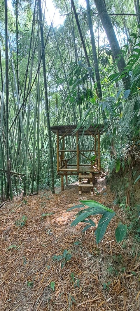 Villa daniela Hotel in Quindio, Colombia