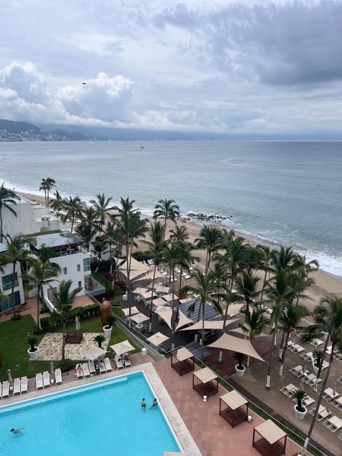 Natural landscape, Beach, Pool view, Sea view, Swimming pool, sunbed