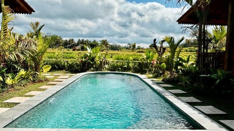 Spring, Day, Garden, Garden view, Pool view, Swimming pool