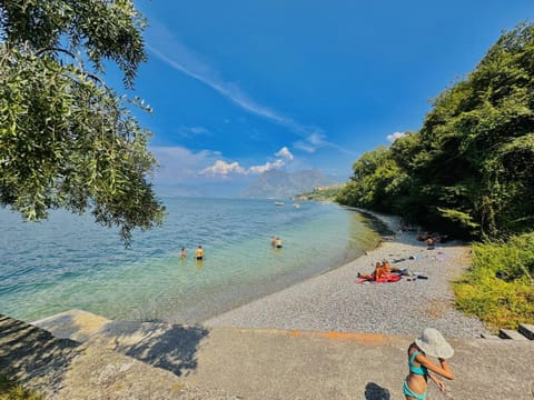 Beach, Lake view