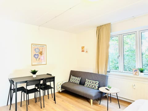 aday - Bright Sunny Studio Apartment Apartment in Aalborg