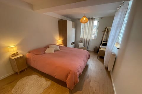 Charming Alsatian apartment near Strasbourg Apartment in Strasbourg