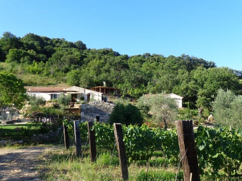 Garden, Garden view