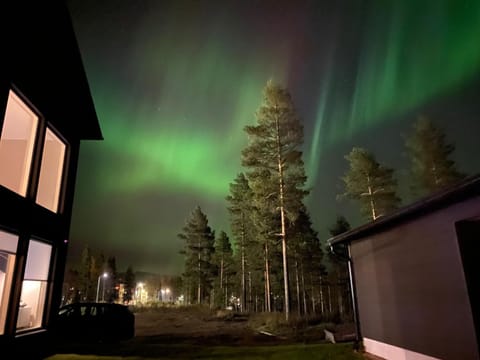 Property building, Night, Natural landscape