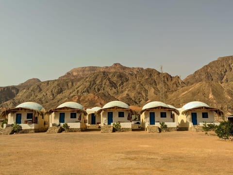 Aladdin Camp Campground/ 
RV Resort in South Sinai Governorate