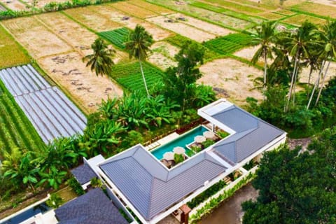 Natural landscape, Swimming pool